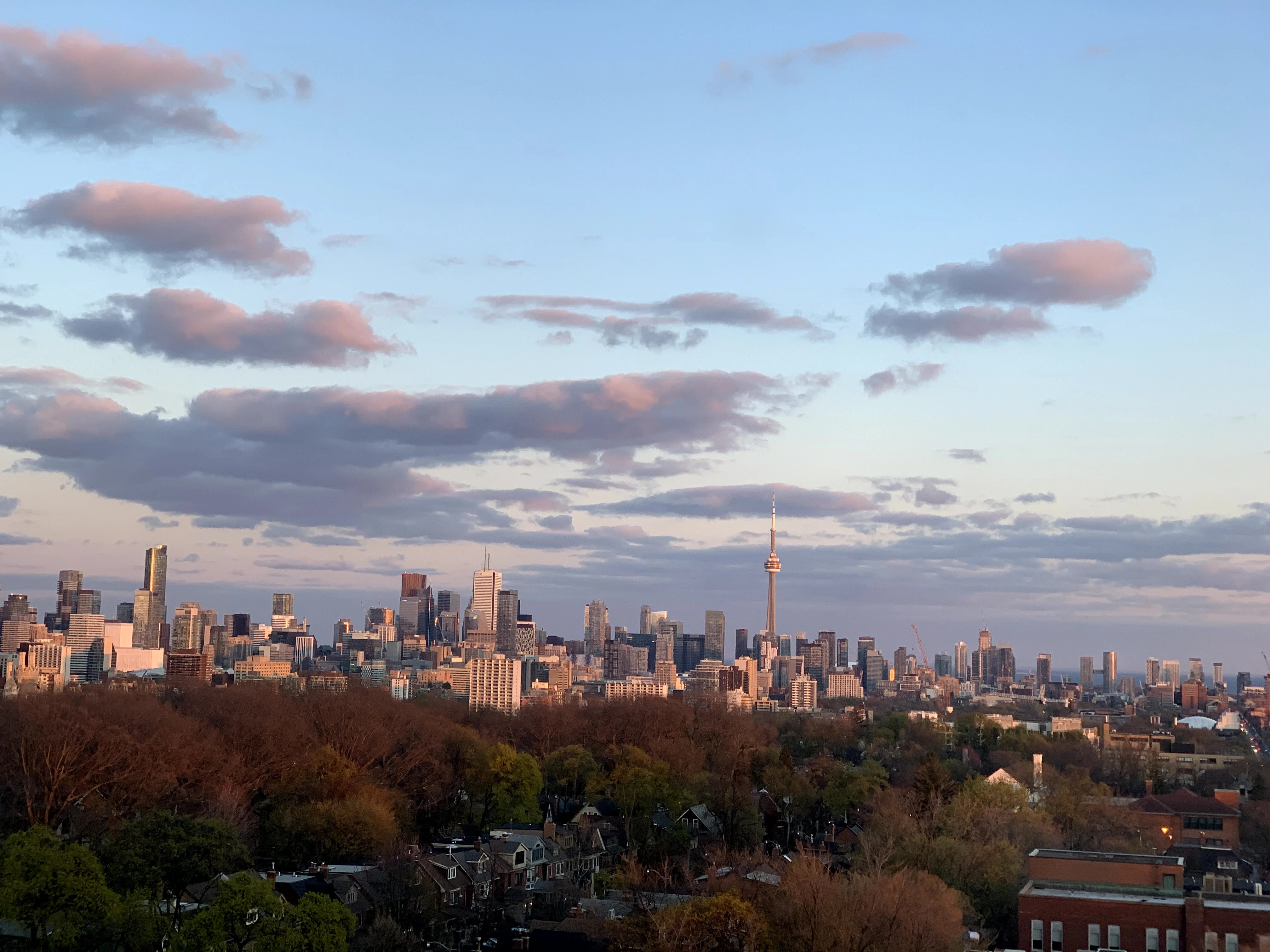 About Atelir Leyla in Toronto