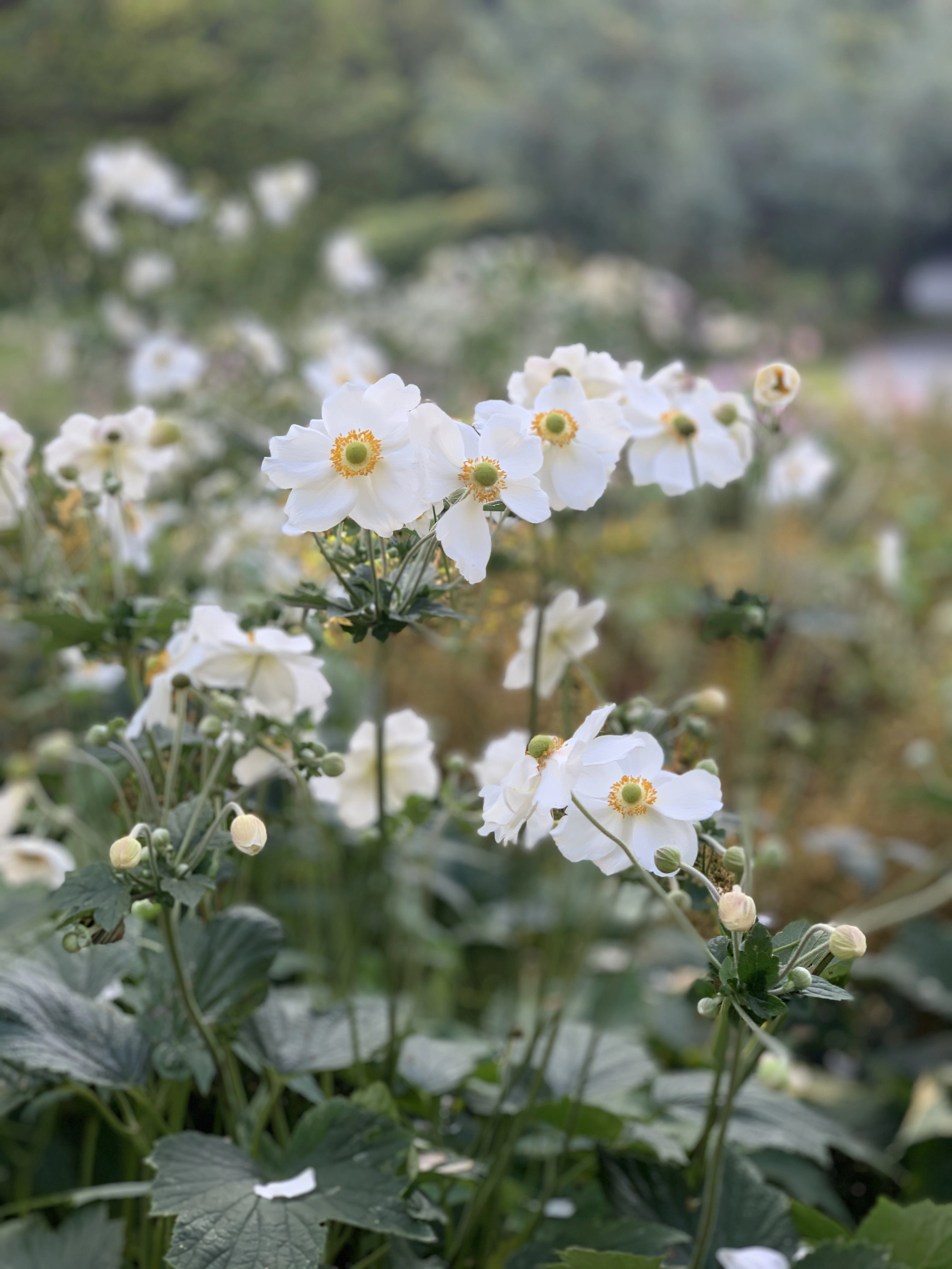 Sustainability at AtelierLeyla